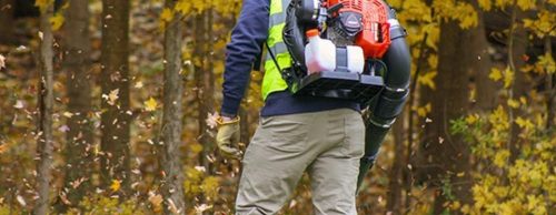 ECHO PB-8010 háti lombfúvó