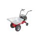 EUROSYSTEMS benzinmotoros talicska CARRY B&S 450 E