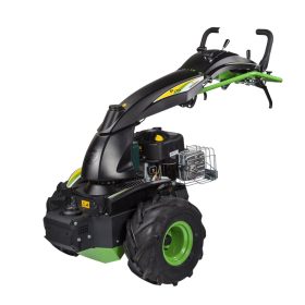   EUROSYSTEMS multifunkciós művelőgép P130 - B&S 3125 ( munkaeszköz nélkül )